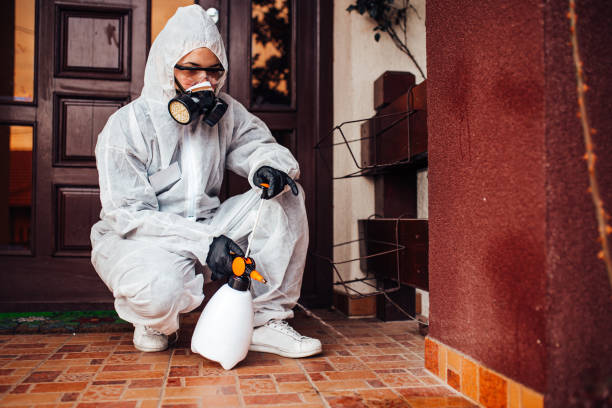 Reliable Cockroach Control contractor in West Valley City, UT by Nex Pest Control